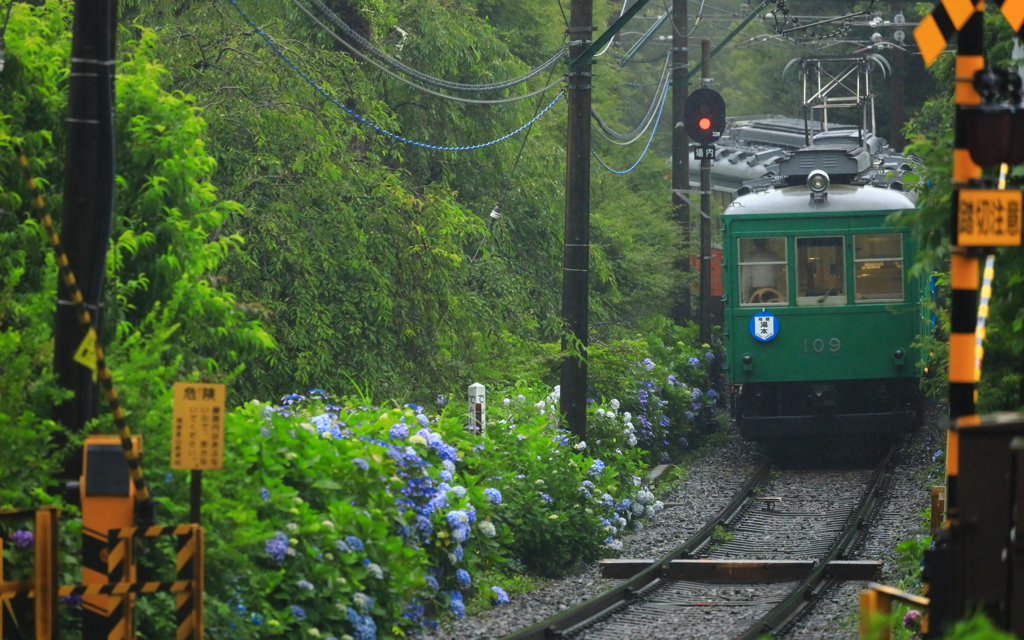 雨の箱根路 II
