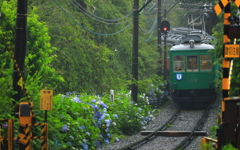 雨の箱根路 II