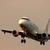 夕暮れの空港 IX