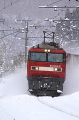 Snowfield Train XXVII