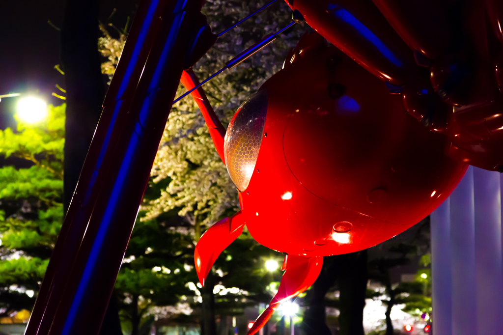 駒街道の蟻も花見