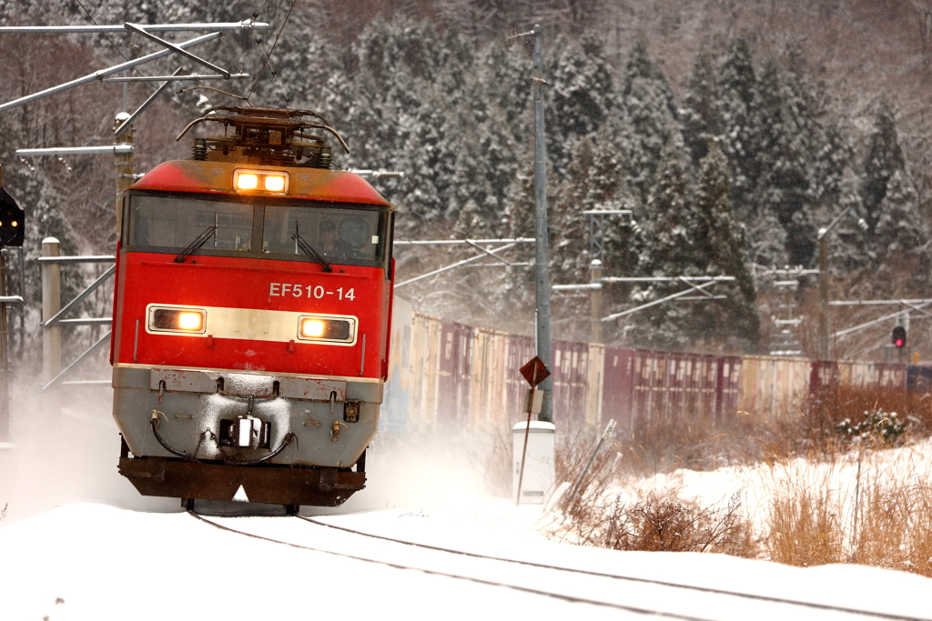 ちょっと早めの雪景色 III