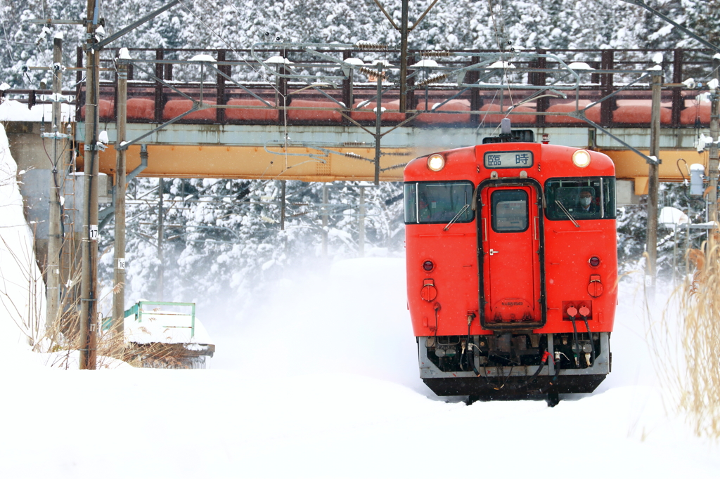 雪の合間 II