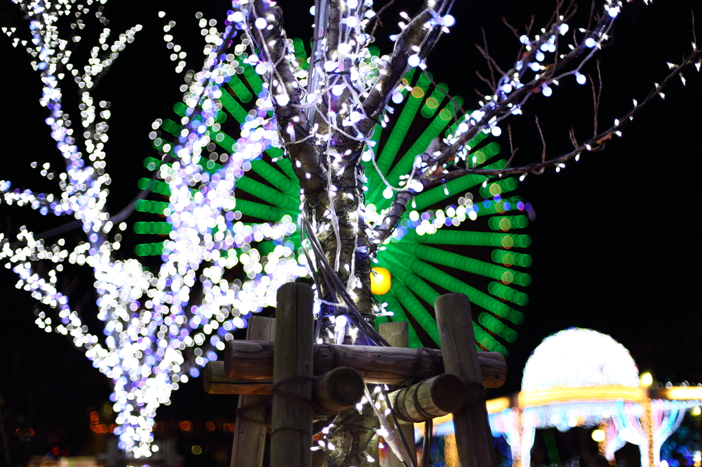 Ferris wheel and