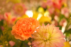 Workplace's Spring I
