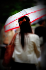 傘華 I