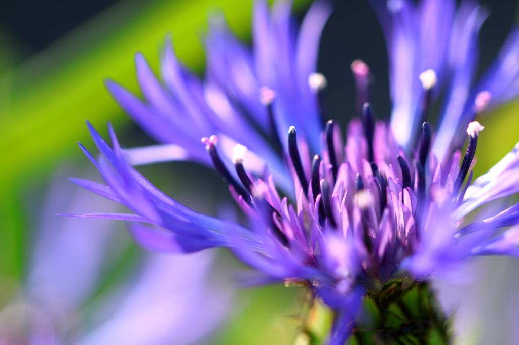 列車を見守る V