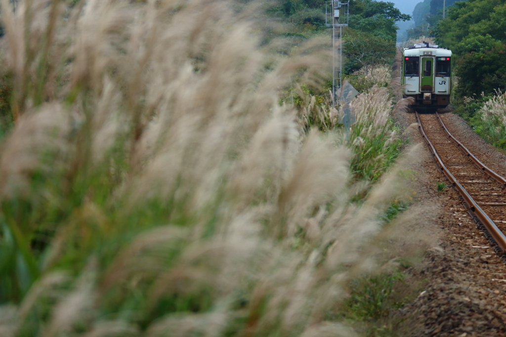 秋散歩 -鉄道- VI