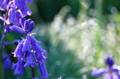 列車を見守る III