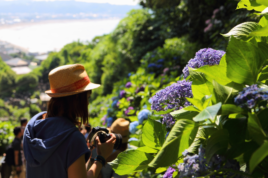 成就寺のカメラ女子