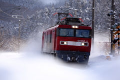 White World Train IV