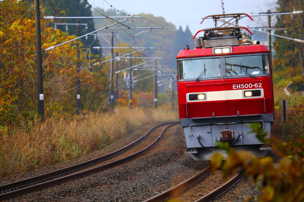 紅葉の・・・ 1