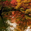 都会の紅葉 III