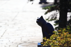 黒猫