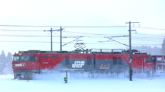 雪原疾走 VIII