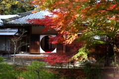 明月院の秋 03 明月院の秋 03