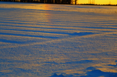 Rainbow Snowfield