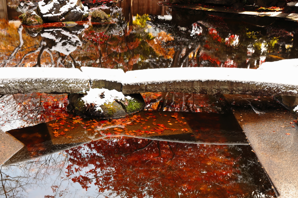 雪化粧した秋 IV