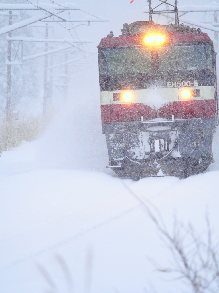豪雪列車 IV