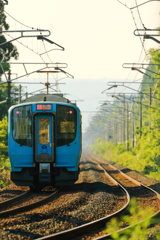 朝の日差し II