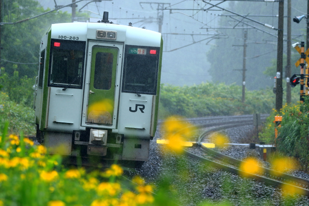 雨の青鉄 III