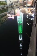 逆さホワイトツリー