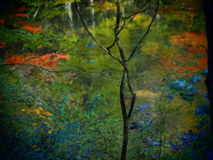 薬研渓流の秋 V