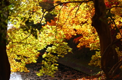秋の弘前公園 13