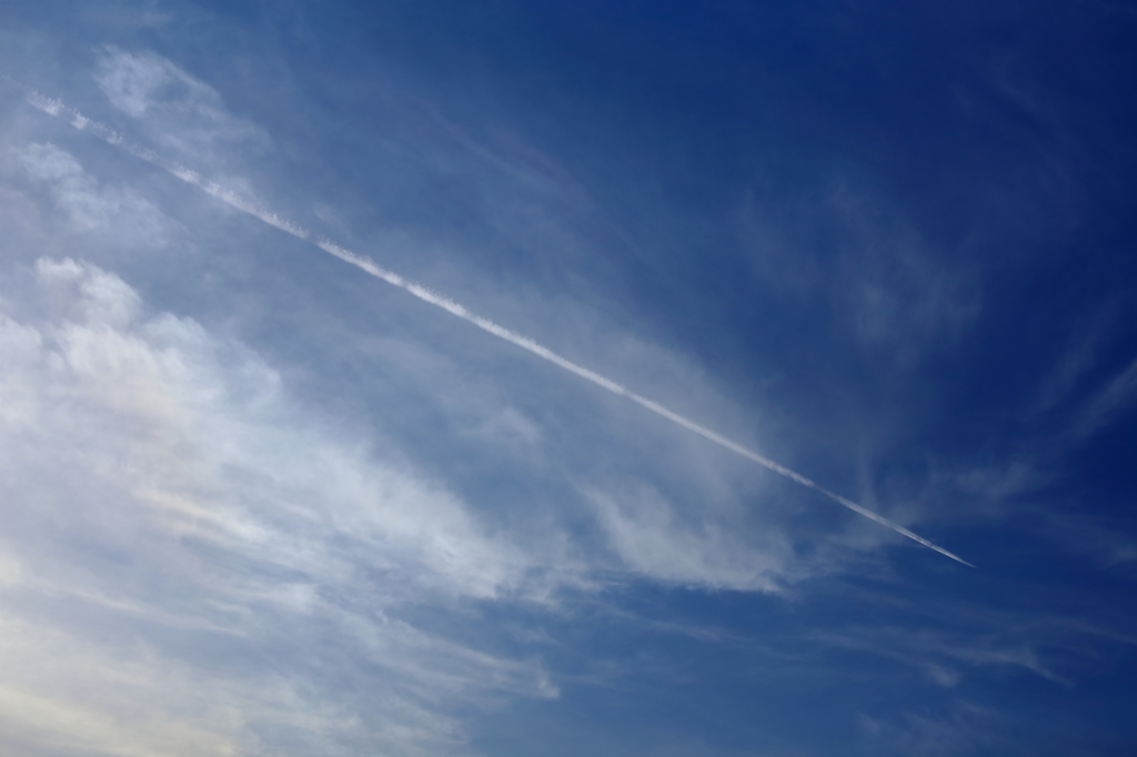 空翔る