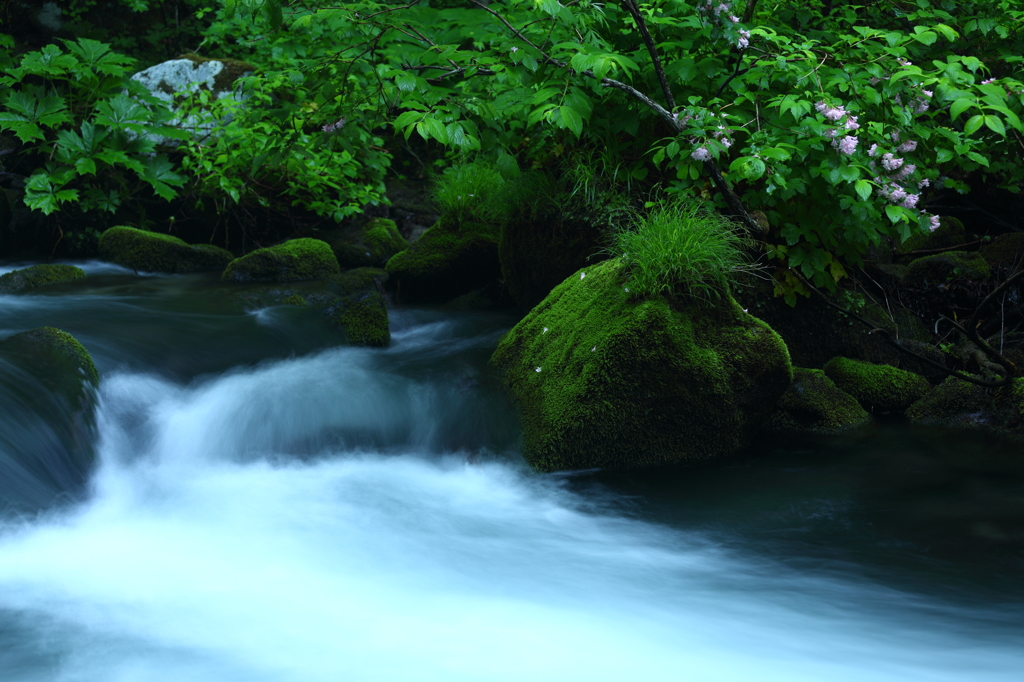 Clean water IV