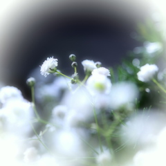 夢虚 I