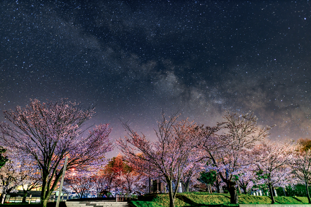 愛宕公園の夜