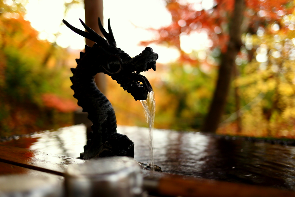 龍水