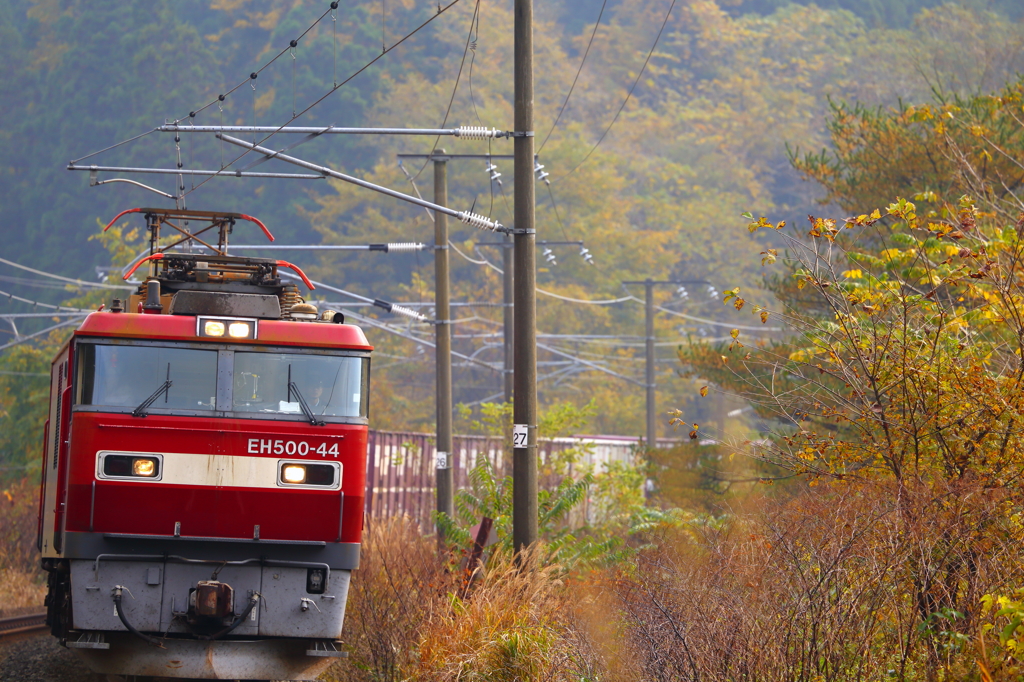 紅葉の・・・ 2