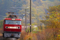 紅葉の・・・ 2