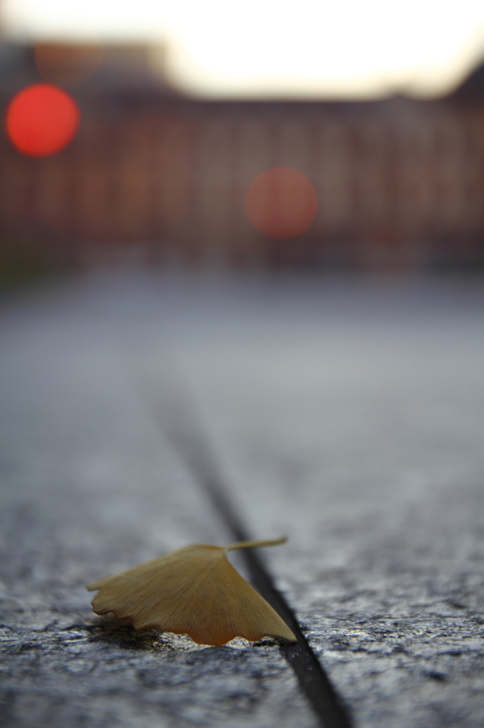 ちょっと寂しい東京駅
