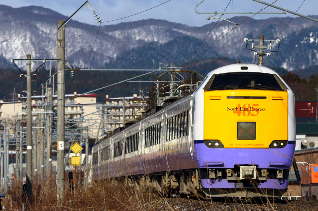 普通列車：485系