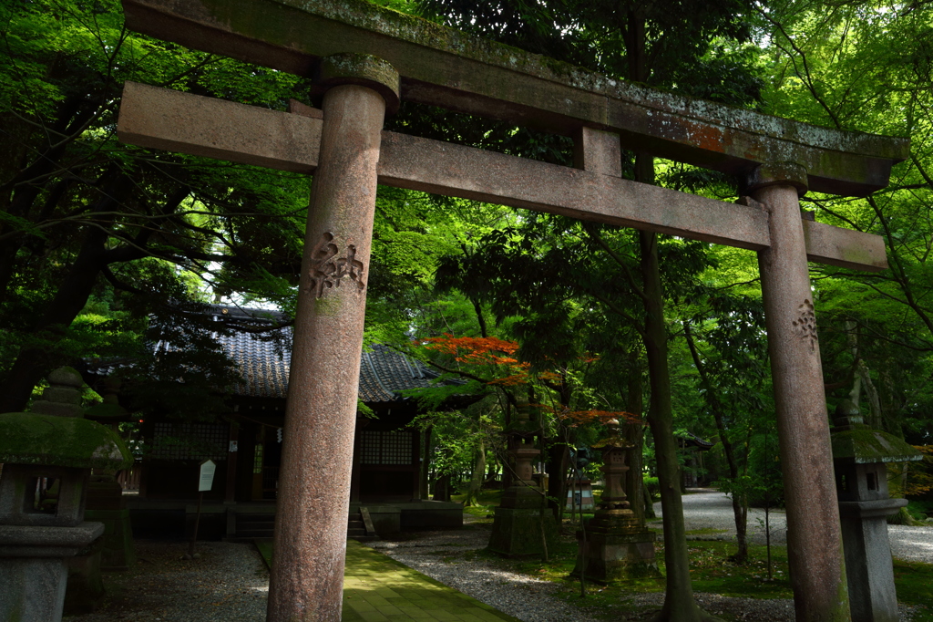 尾山神社奥には・・・