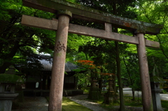 尾山神社奥には・・・