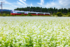 リバイバル特急スーパーはつかり