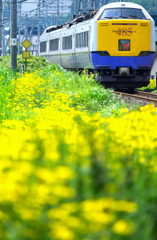 夏の鉄道風景 VII