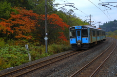 紅葉電車 2