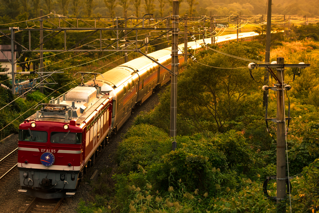夕暮れの煌めきの中から