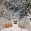 11月の雪景色 I