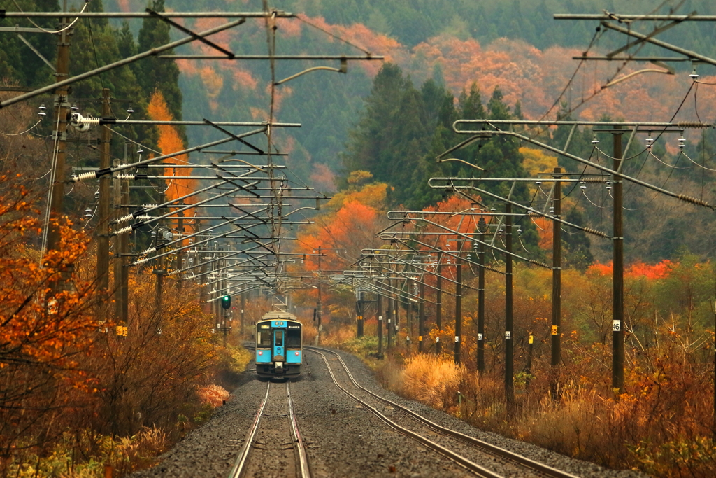 晩秋の山へと