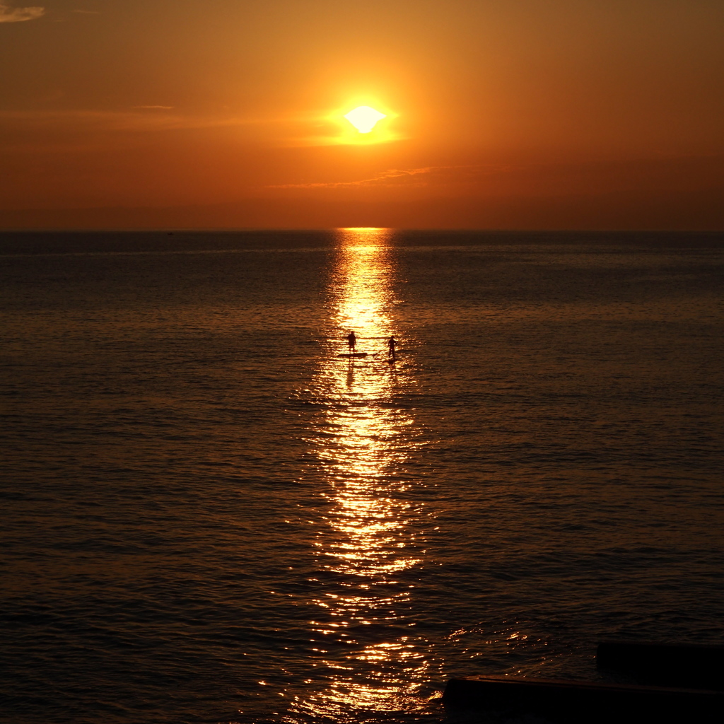 夕陽に向かって