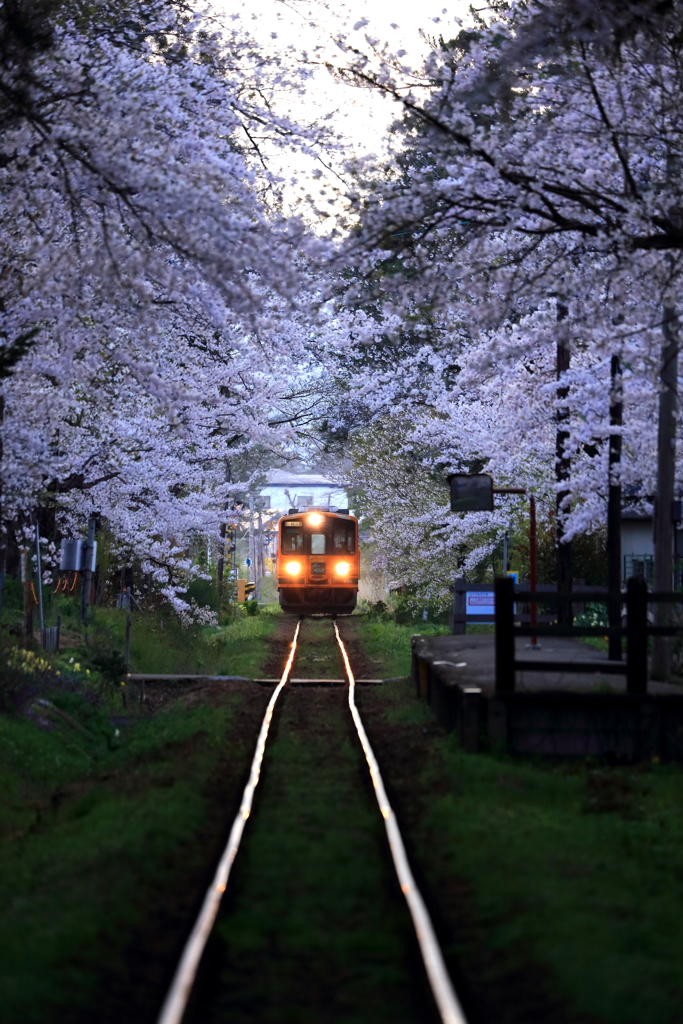 輝く路