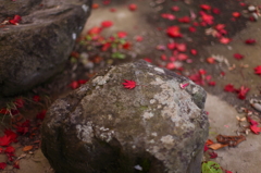 秋の弘前公園 10
