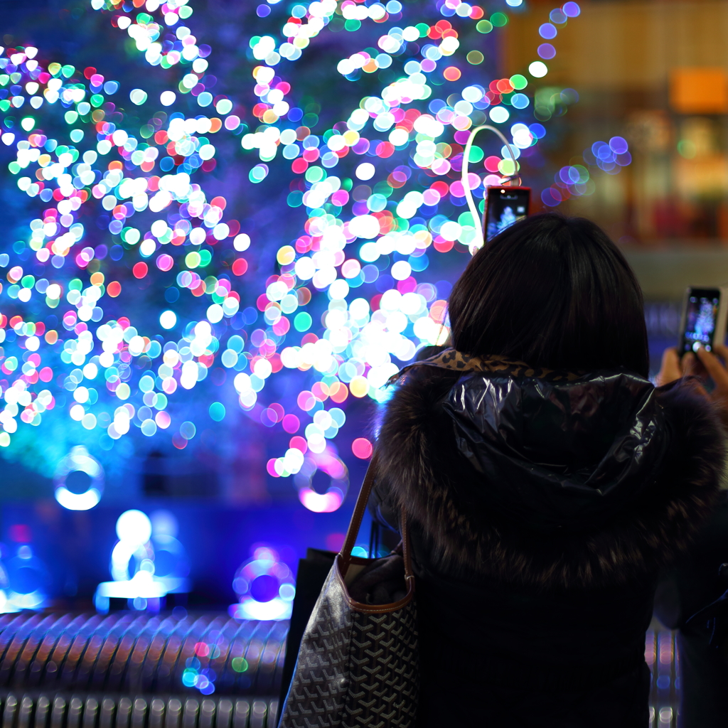 Ginza's Tree