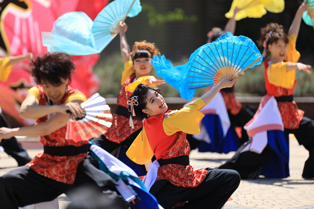 AOMORI春フェス2019 VIII
